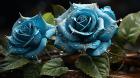 Test Busines